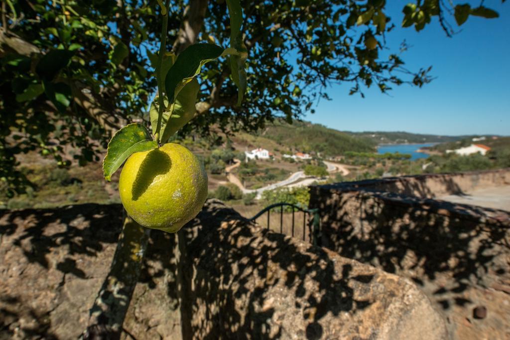 Aldeia do Mato  Quinta Da Eira Velha 게스트하우스 외부 사진